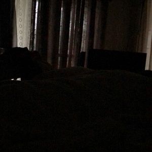 Meet your Posher, Nora e.